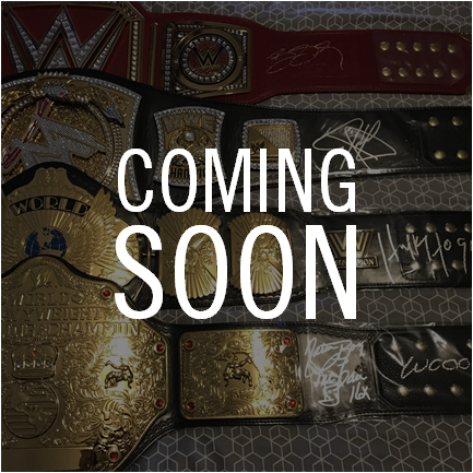 Autographs on WWE chapionship belts